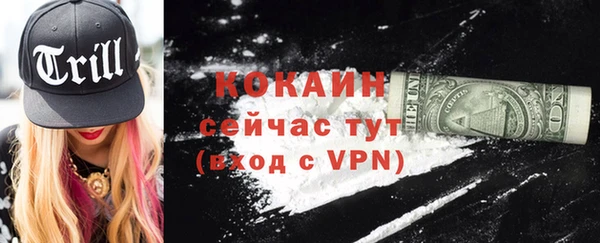 кокс Богородицк
