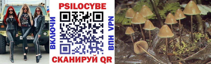 Галлюциногенные грибы Magic Shrooms  Бирюсинск 