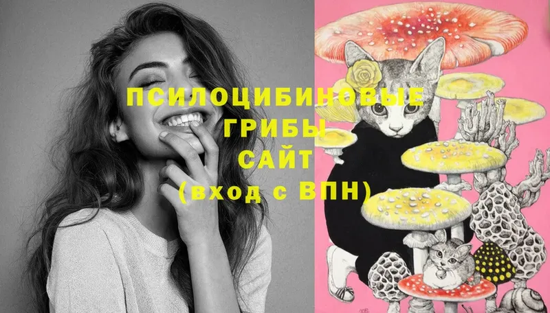 Псилоцибиновые грибы Psilocybe  купить наркотик  Бирюсинск 